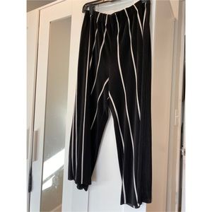 Zara Pleated Wide Leg Pants